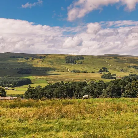 House 2* Alston